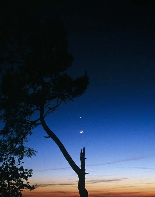Conjonction Triangulaire; Vnus, Mars et la Lune.